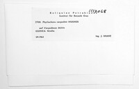 Image Associated With the Occurrence